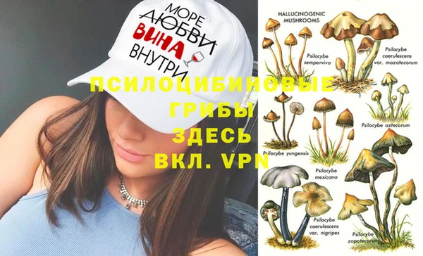 стафф Балахна