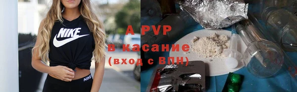 ПСИЛОЦИБИНОВЫЕ ГРИБЫ Балабаново