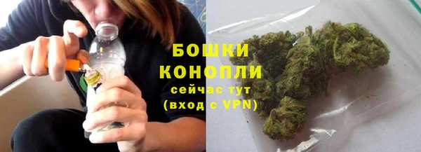 ПСИЛОЦИБИНОВЫЕ ГРИБЫ Балабаново