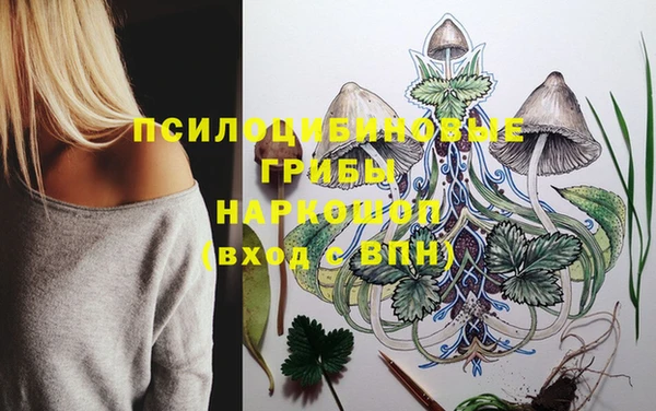 ПСИЛОЦИБИНОВЫЕ ГРИБЫ Балабаново