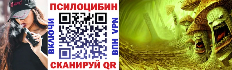 Купить где  Лангепас  Псилоцибиновые грибы Psilocybine cubensis 
